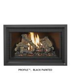 Lopi 32 DVS Deluxe Ember-Glo Gas Insert - manufacturer photograph